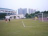 P1020447.jpg